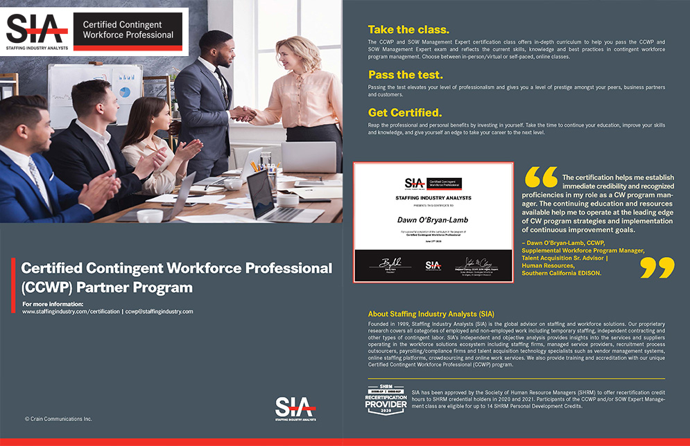 Finished printed SIA CCWP brochure, slate gray front and back covers, designed by Giselle White